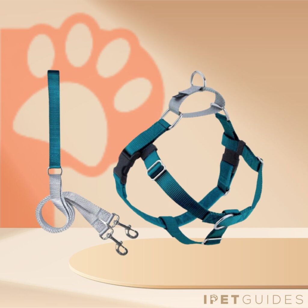 Freedom No Pull Dog collar