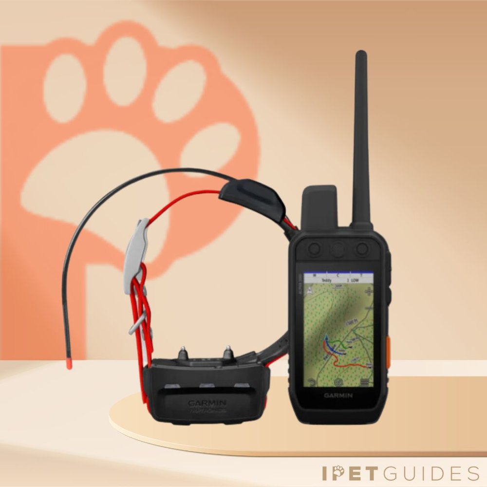 Garmin Alpha 200i Product Image