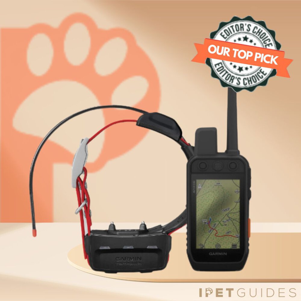 Garmin Alpha 200i TT 15 Mini Dog Tracking Collar Training Bundle