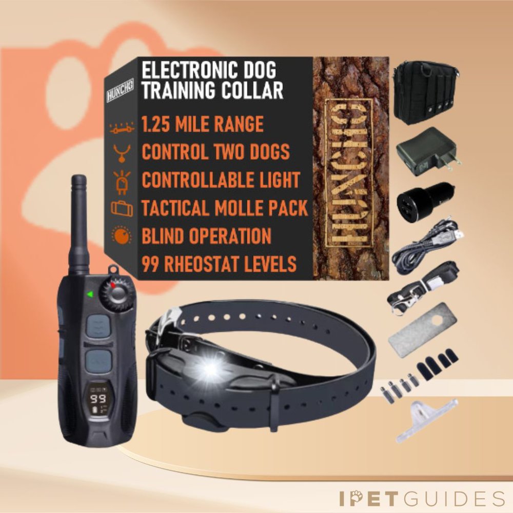 Huncho Hunting Dog Training Collar