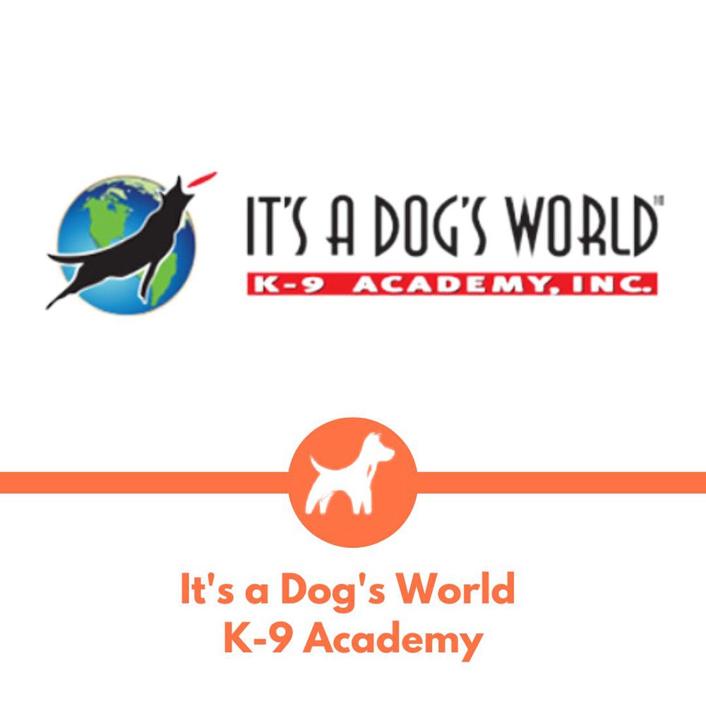 Its a Dogs World K9 Academy Program