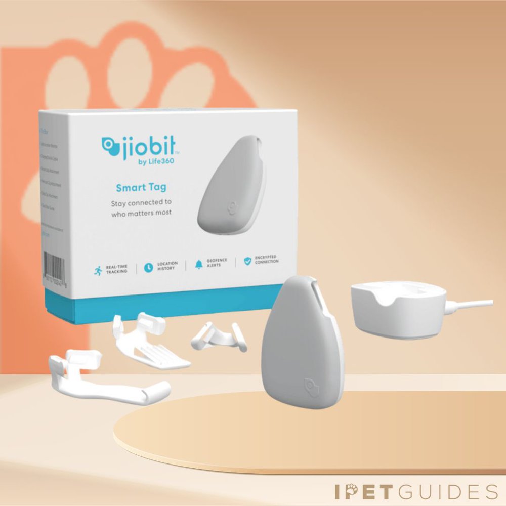 Jiobit Smart Tracker Image