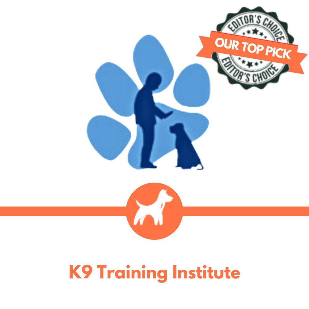 K9 Training Institute