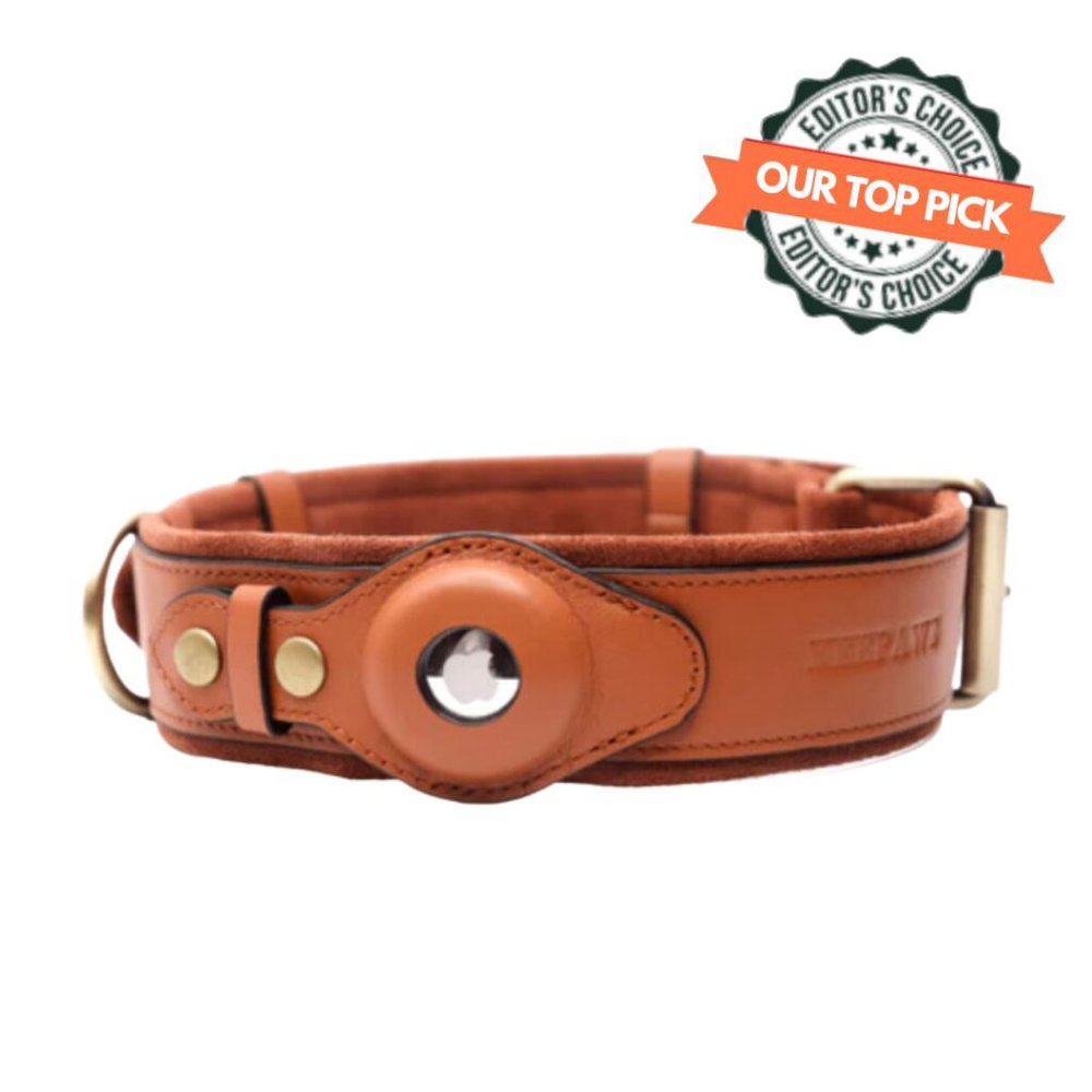 Keepaws Leather Airtag Collar Product Image