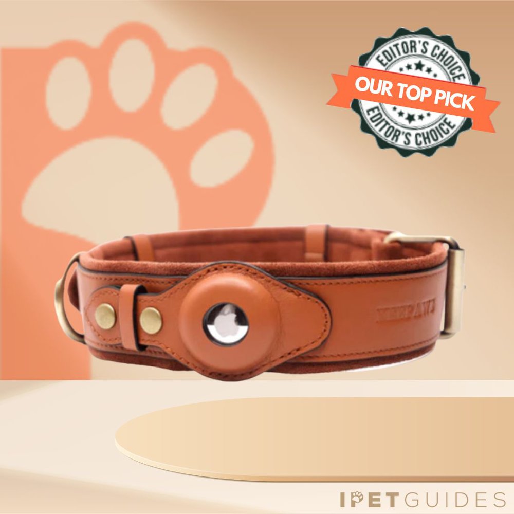 Keepaws Leather Airtag Dog Collar