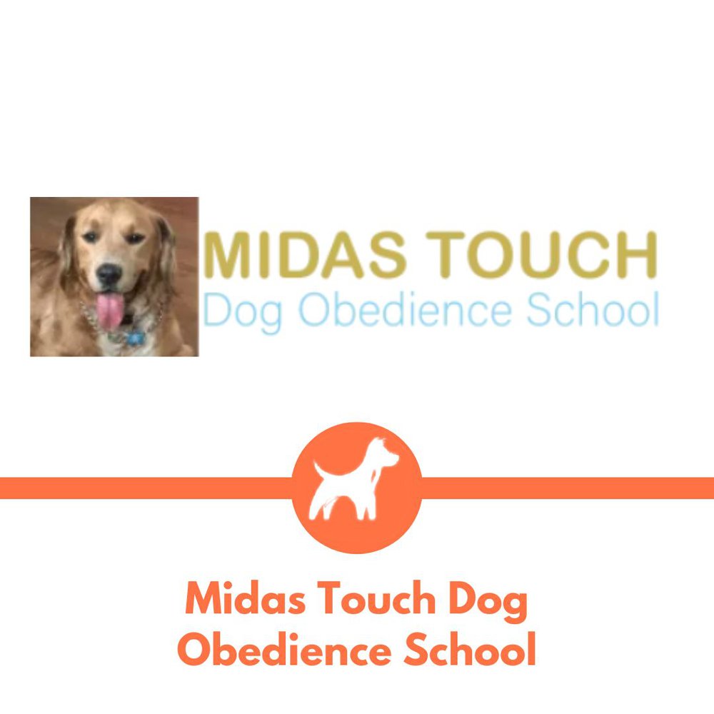 Midas Touch Dog Obedience School