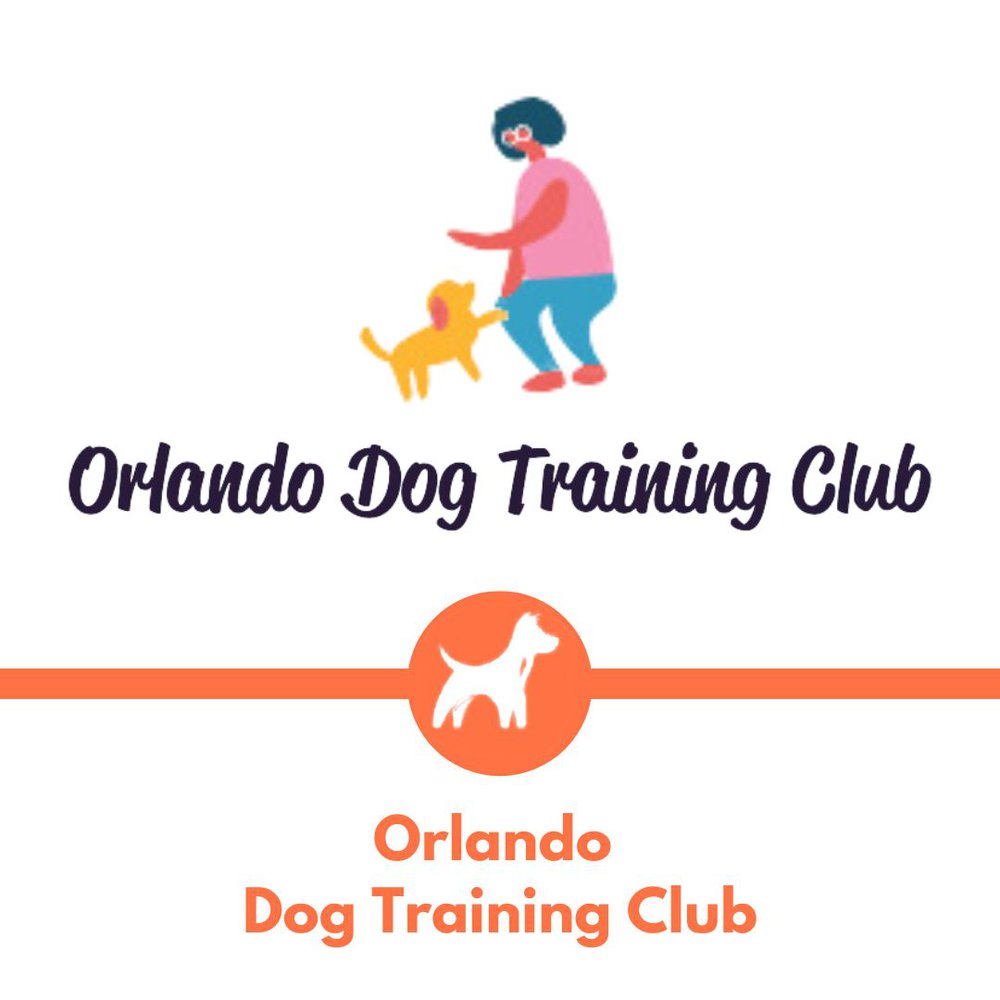 Orlando Dog Training Club