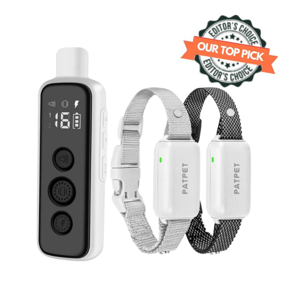 PATPET P650 1000ft Dog Training Collar