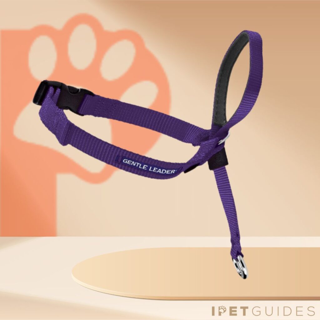 PetSafe Gentle Leader Headcollar