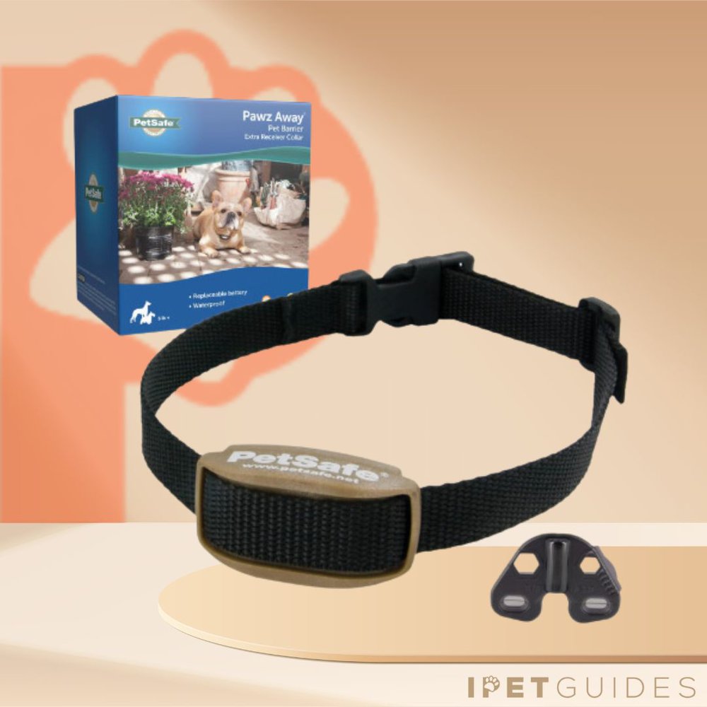 PetSafe Pawz Away Pet Barrier Outdoor