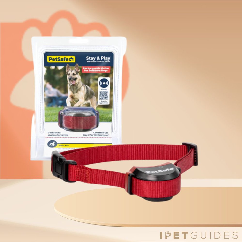 PetSafe Stubborn Dog Shock Collar
