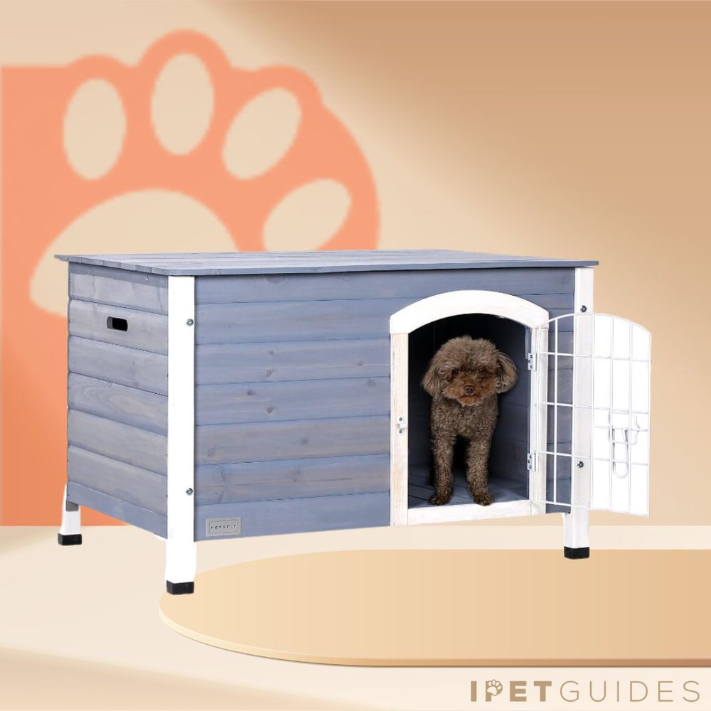 Petsfit Indoor Dog House