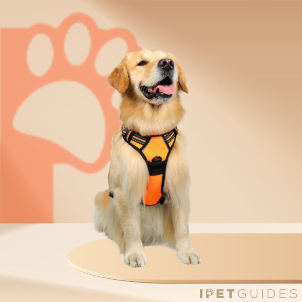 Rabbitgoo Dog Harness