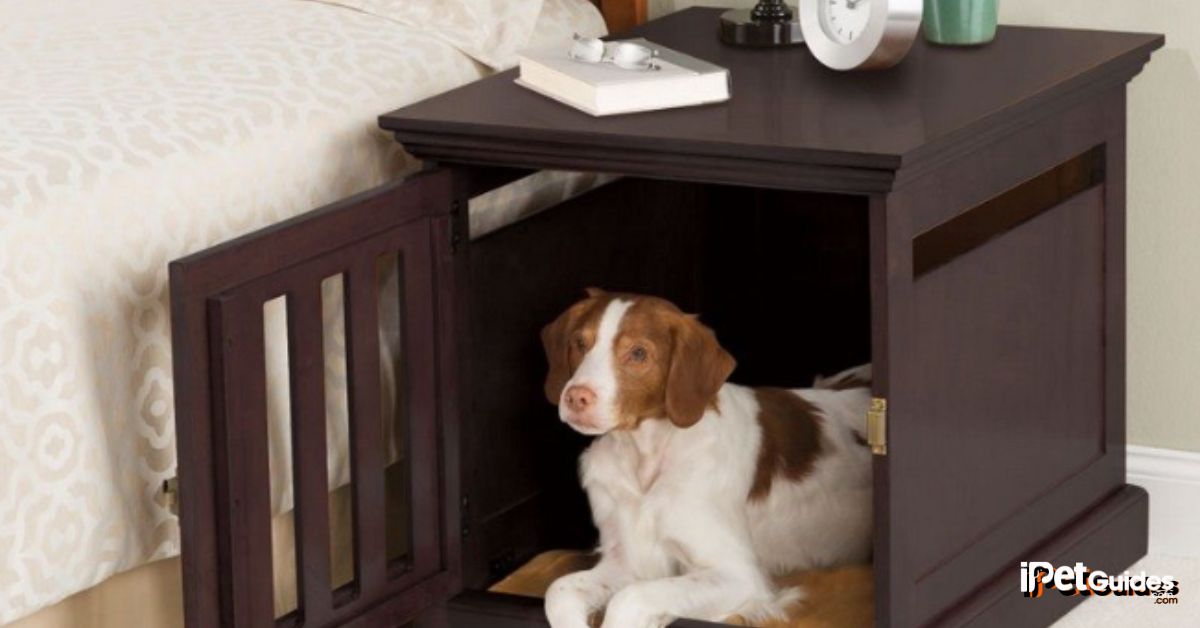 Should Dog Crate Be In Bedroom Featured Image