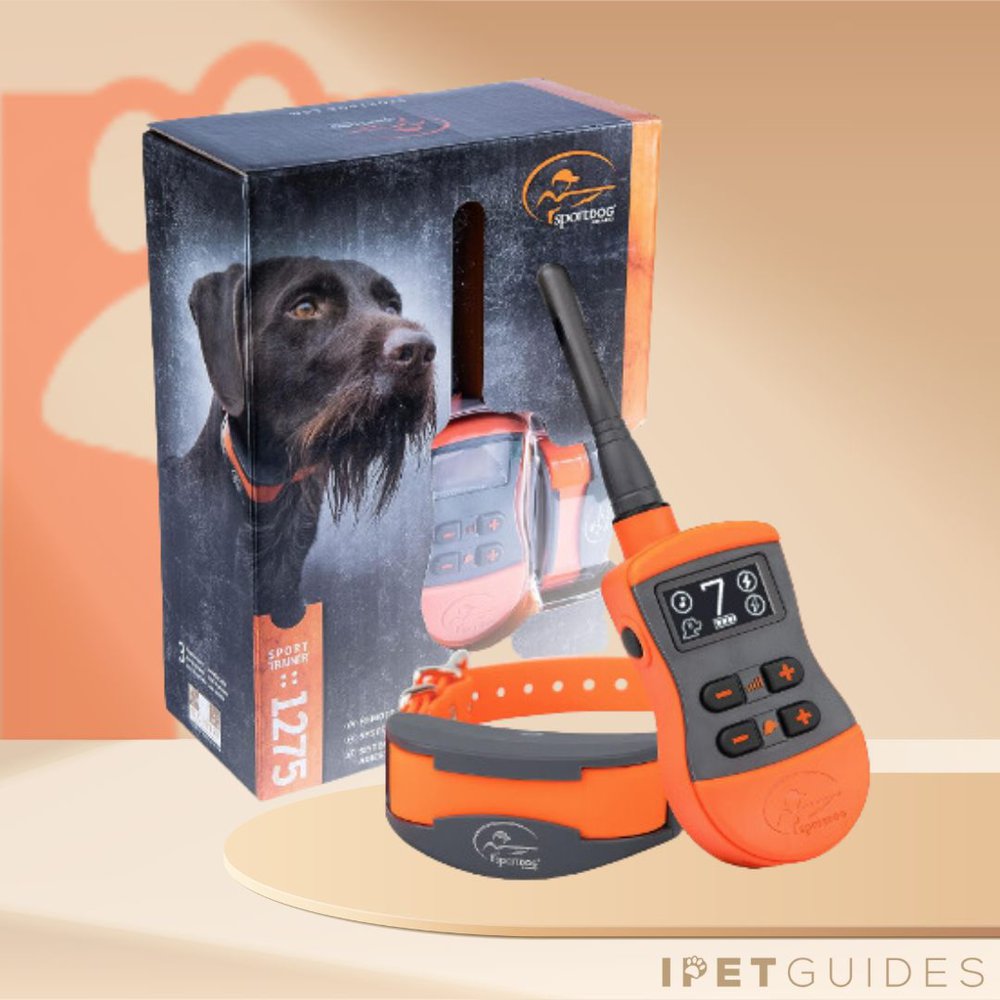 SportDOG Brand SportTrainer Remote Trainers