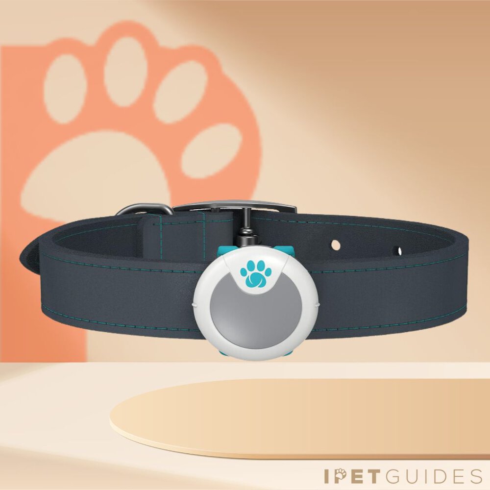 Sureflap Animo Dog Fitness Tracker