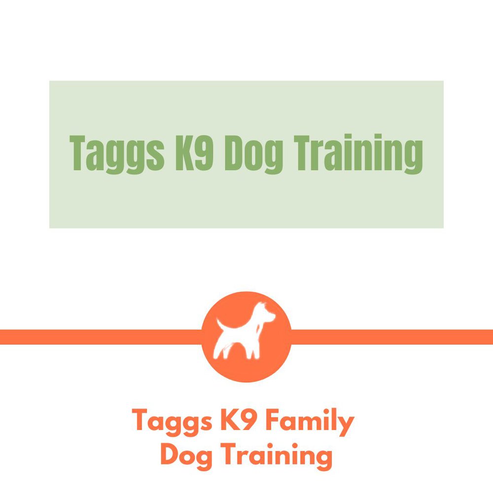Taggs K9 Family Dog Training