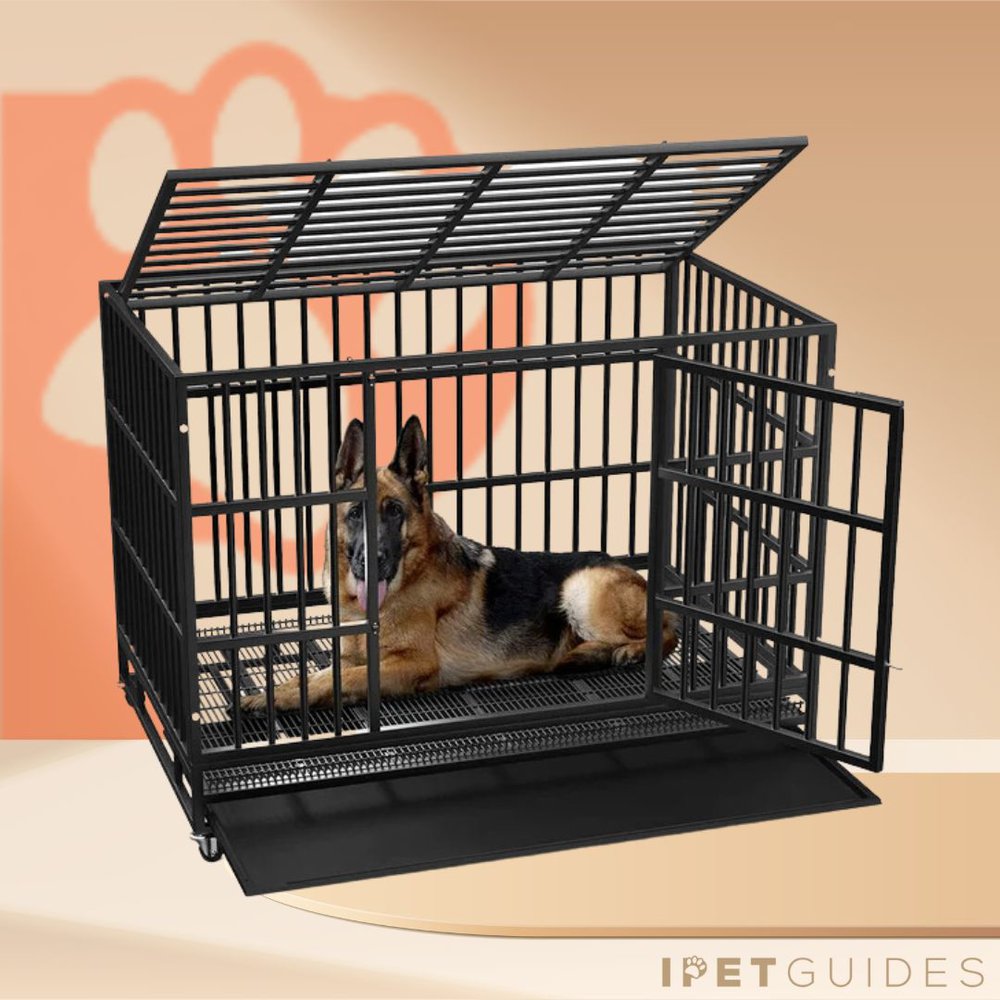 Tucker Murphy Kennel