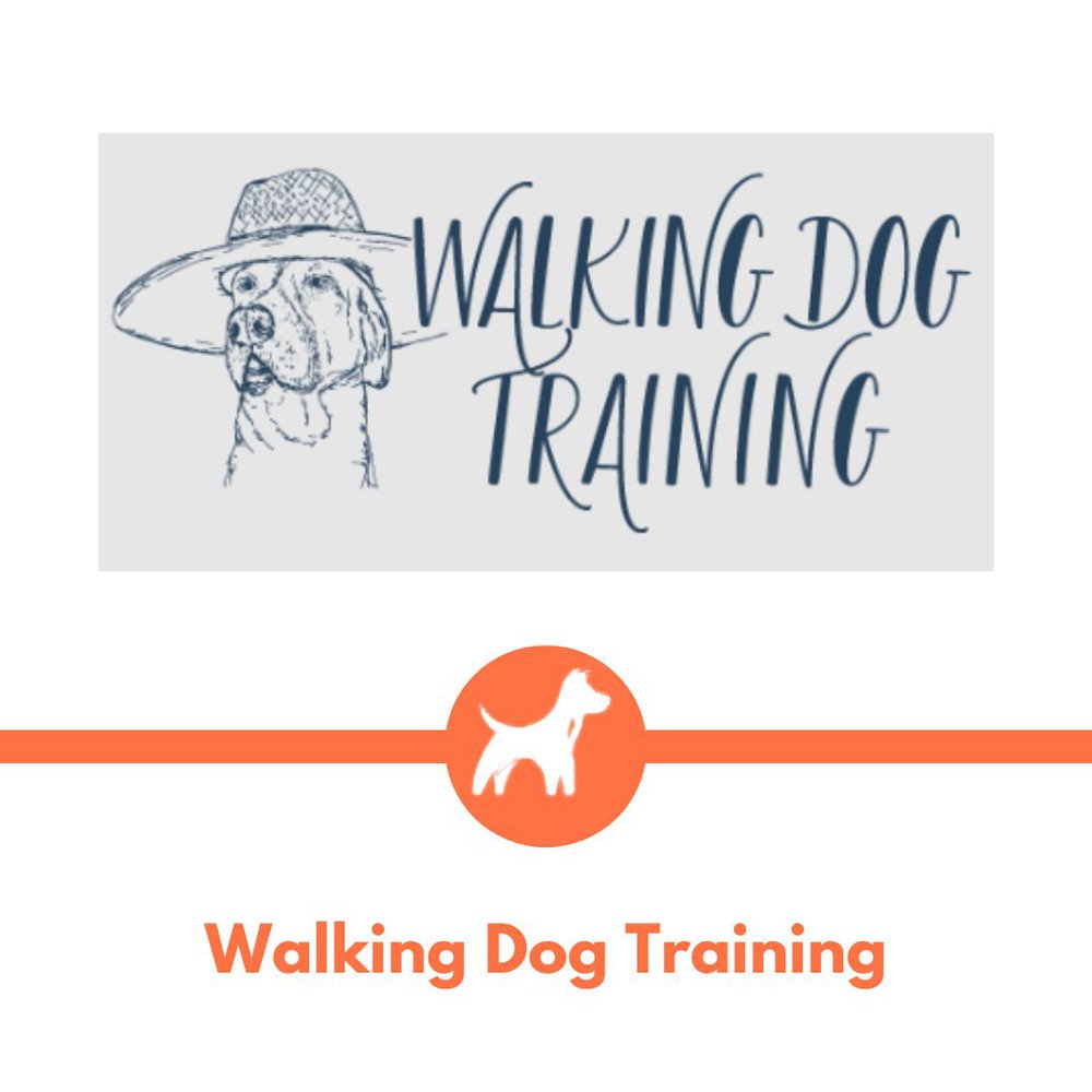 Walking Dog Training