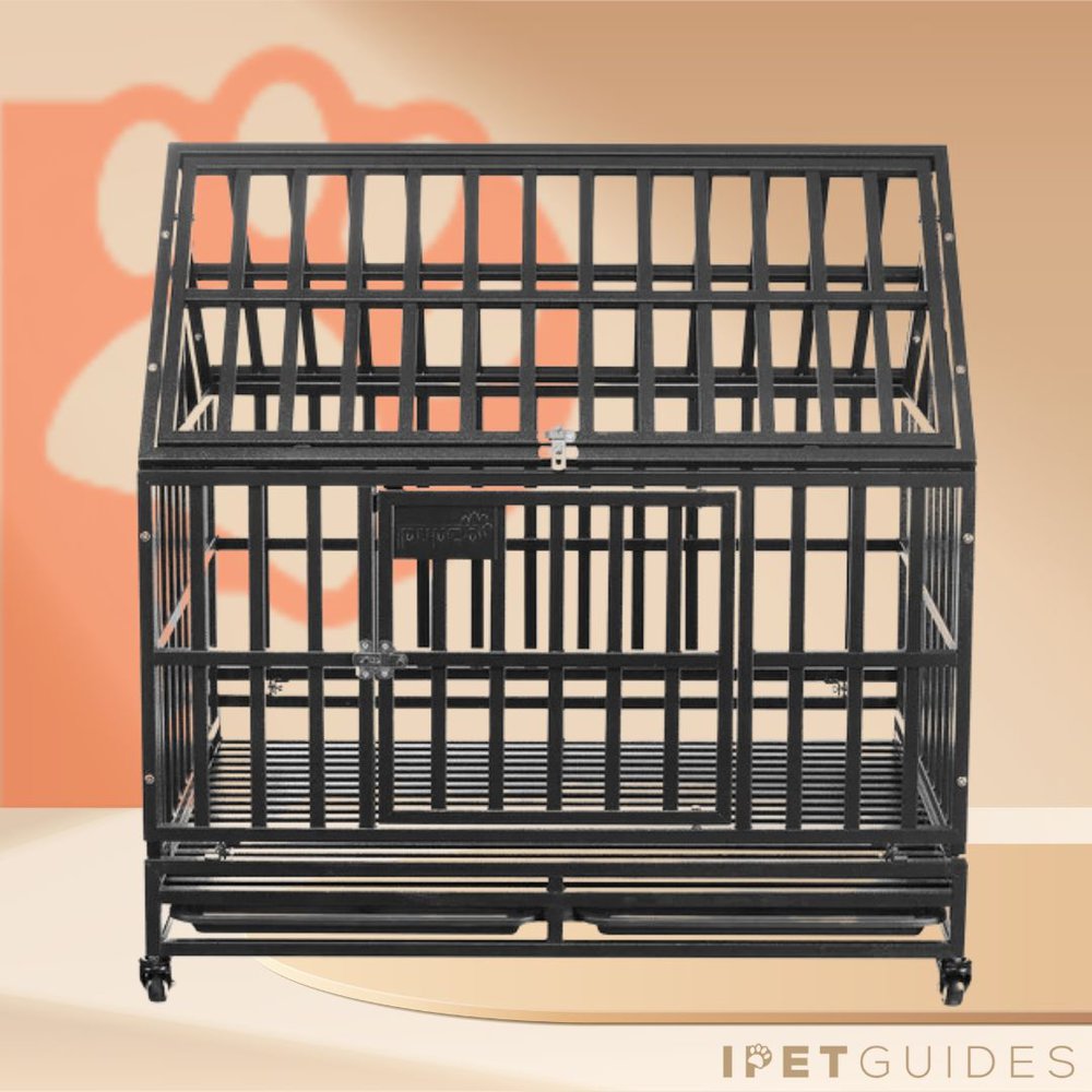 Zenova Steeple Top Heavy Duty Pet Crate