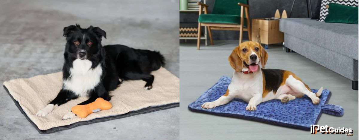 Two pictures of dogs laying on a dog mat