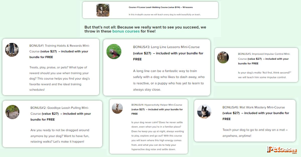 Bonus Courses offered in the Recall Expert Bundle