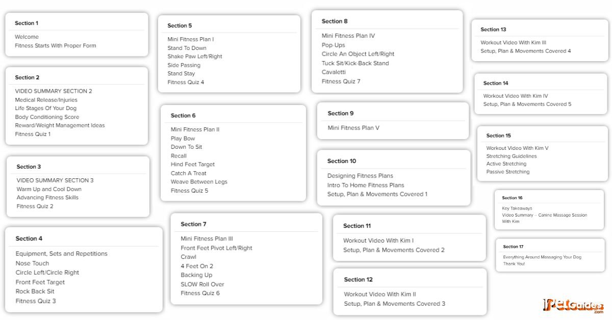 Canine Fitness Course Curriculum