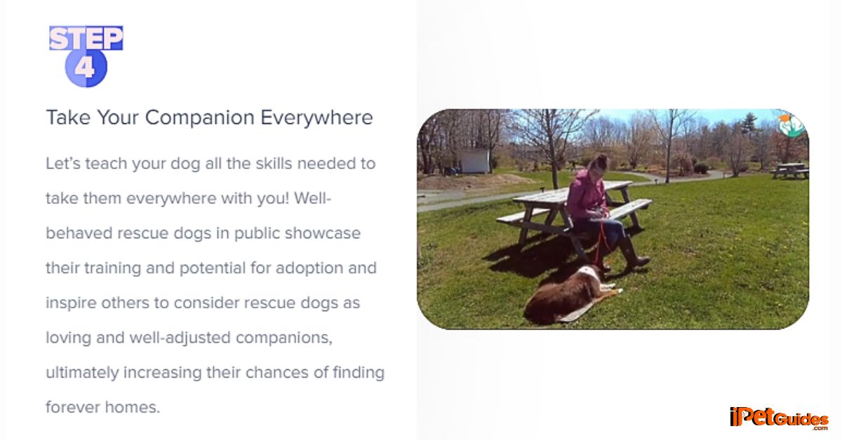 One of the Step from Rescue Dog Bundle