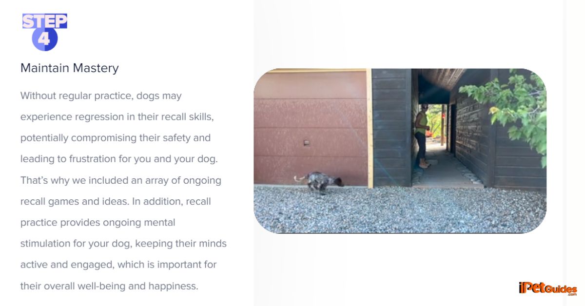 One of the crucial step from Recall Expert Bundle