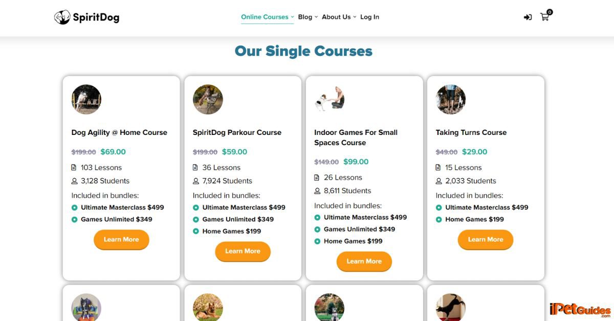 spiritdog single training courses 