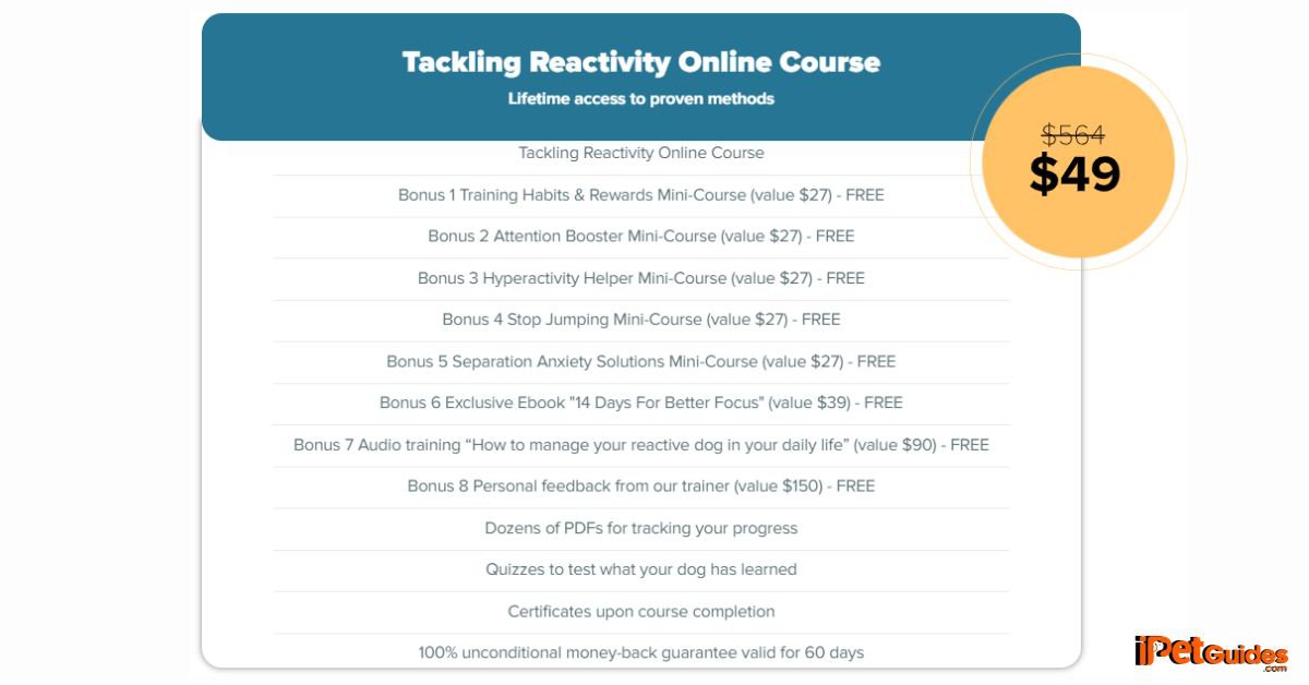 Tackling Reactivity Online Course Content and Pricing
