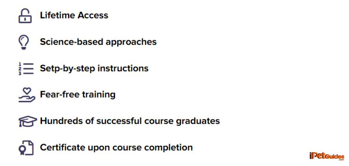 benefits of single courses