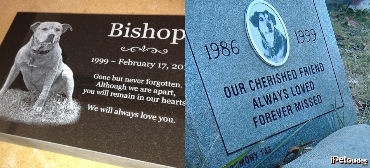 burials of dogs at pet cemetry and at home