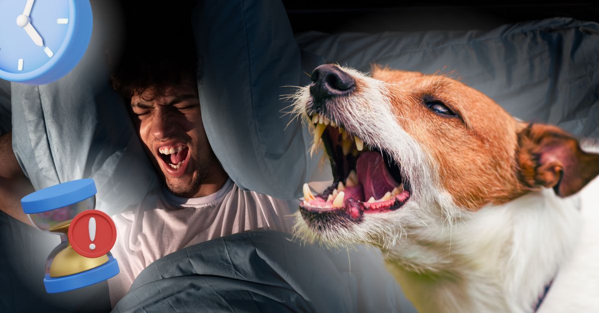 how long can a dog bark legally featured image