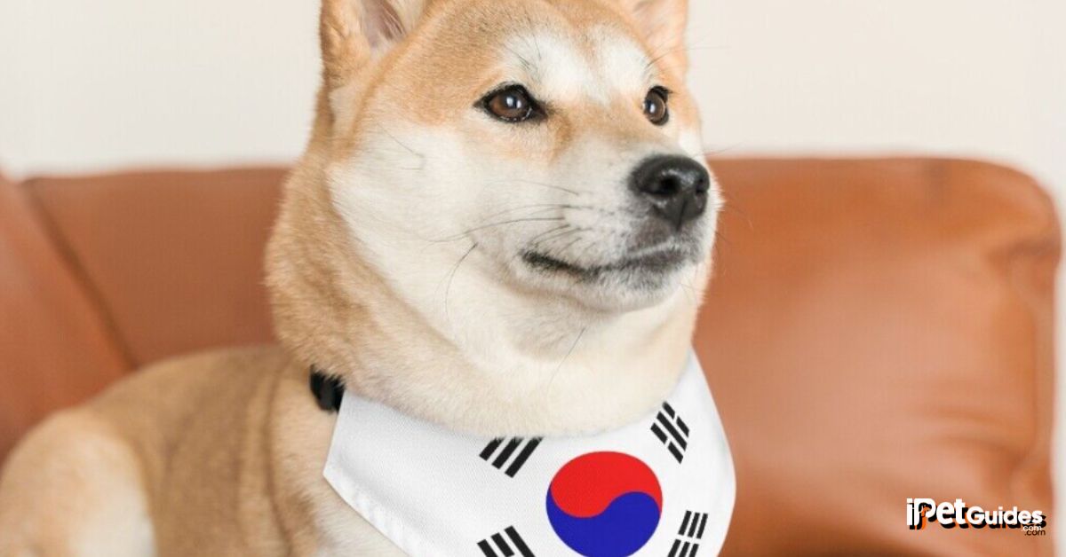 korean dog names featured image