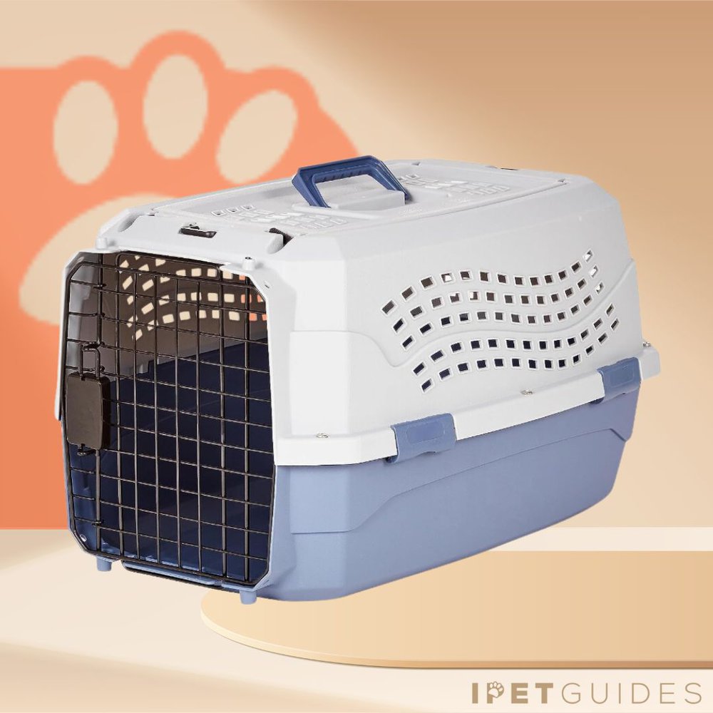 Amazon Basics 2 Door Crate