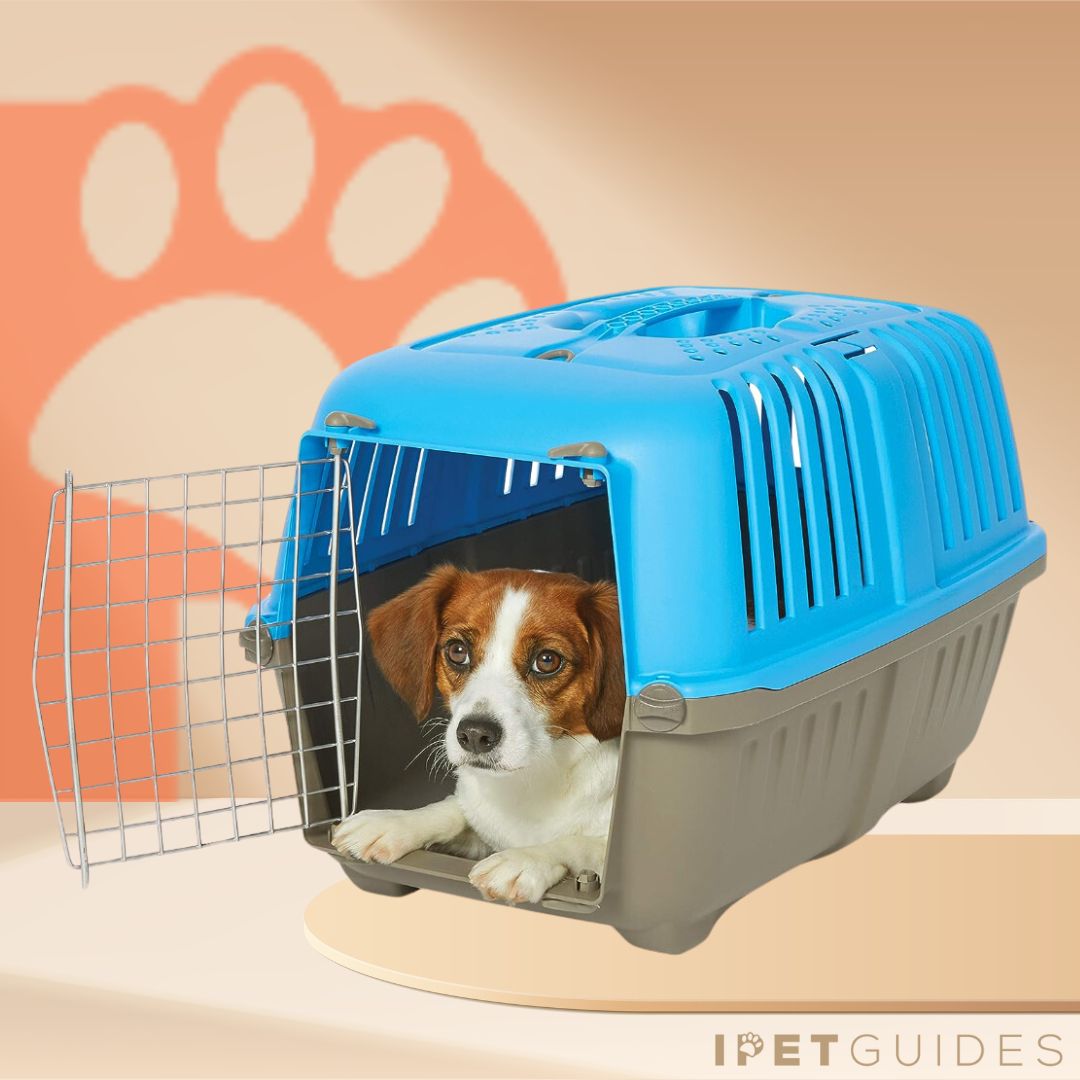 Midwest Homes Spree Plastic Dog Crate