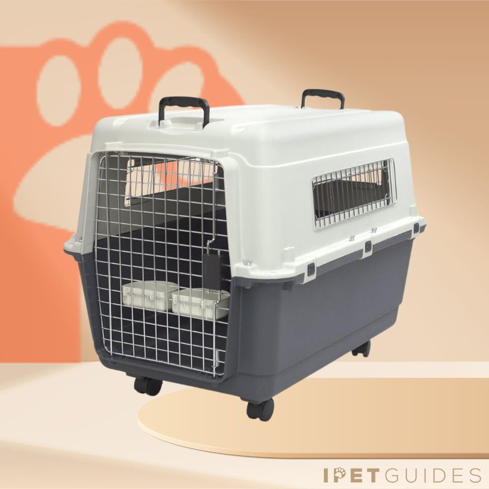 Sportpet Designs Plastic Kennel