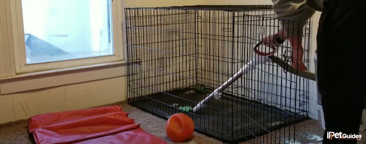 A man cleaning a dog crate with a vacuum