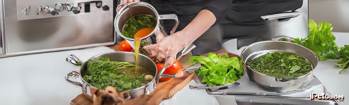 a woman making vegetable broth for her dog