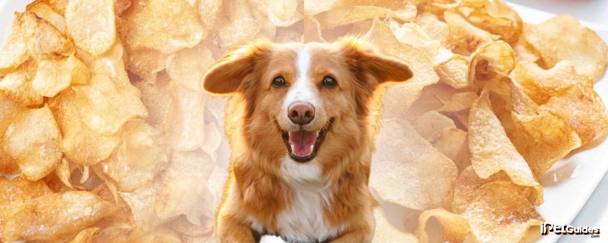 A dog is standing in the background of a plate of vinegar chips