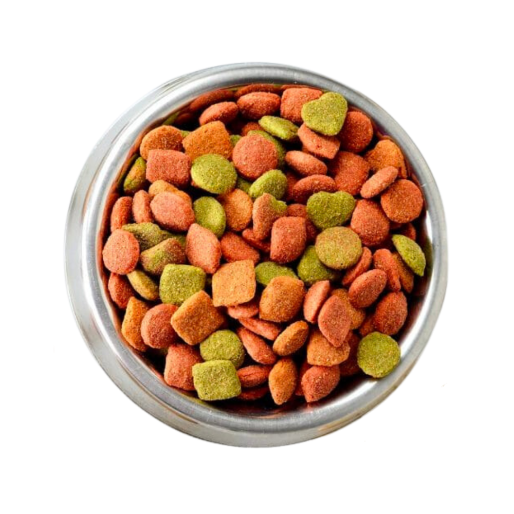 Dog food in a bowl on a white background.