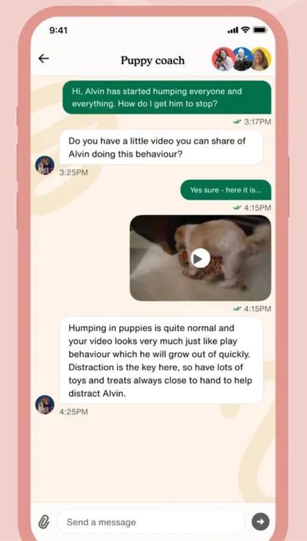 Zigzag Puppy Training Chat Feature on the app