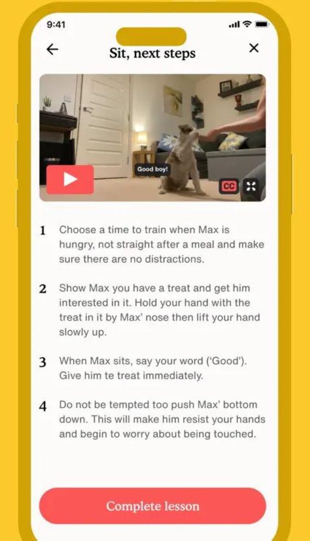 Zigzag Puppy Training Videos on the app