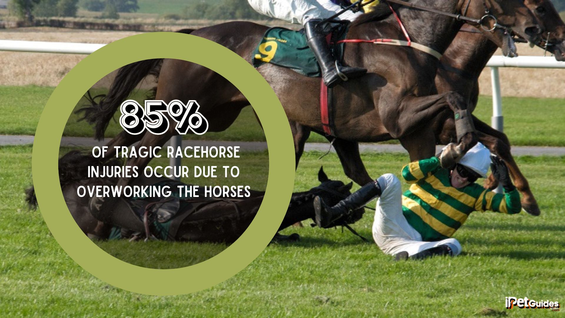 a stat showing that 85% of Tragic Racehorse Injuries Occur Due to Overworking the Horses