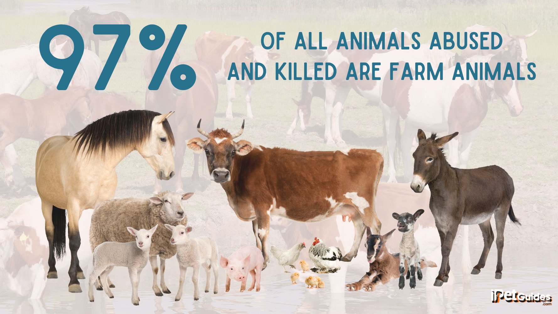 a stat of 97% of all animals abused and killed farm animals