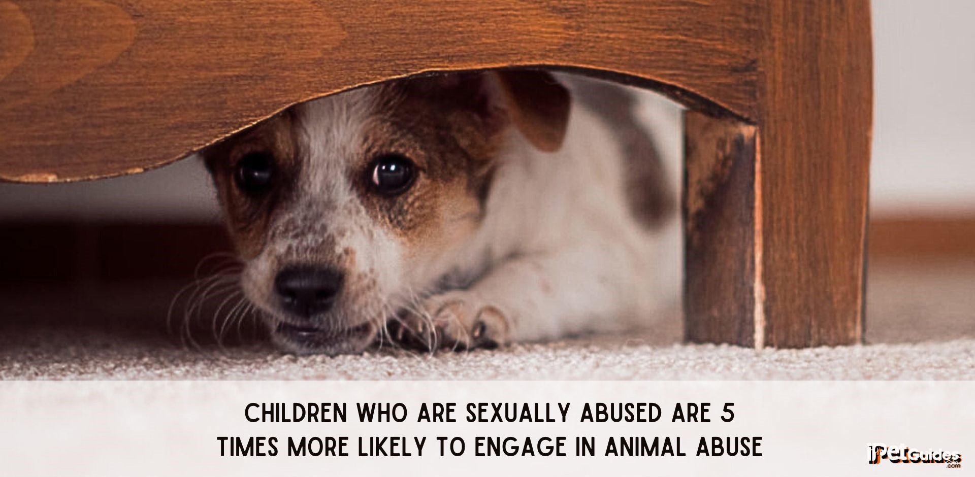 a stat of children who are badly raised are 5 more likely to suffer animal abuse