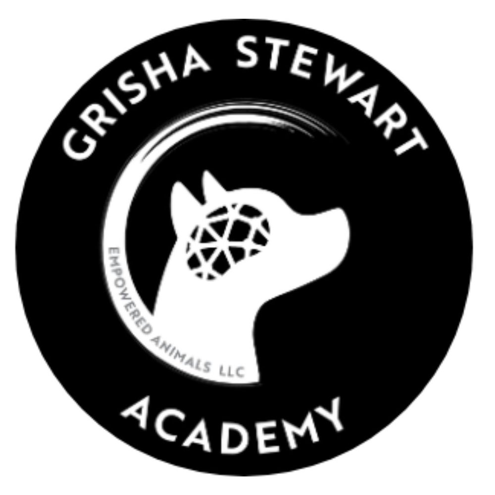 Grisha Stewart Academy Logo