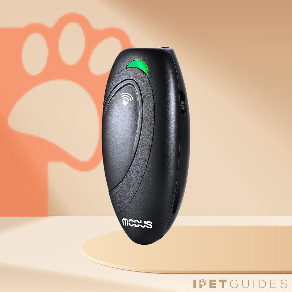 MODUS Dog Barking Control Device