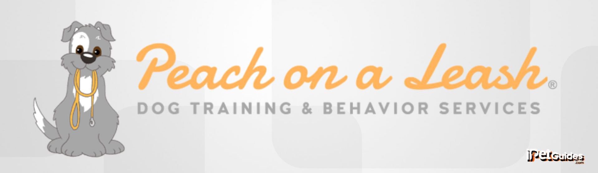 A white background with orange and grey text.